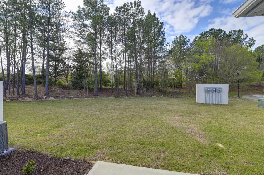 Exterior details and patio area of a home in Lake Carolina Townhomes, Columbia (Image 31).