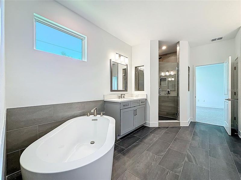 Furnished interior view inside a new home in , Tampa (Image 38). Furnished interior view inside a new home in , Tampa (Image 38).