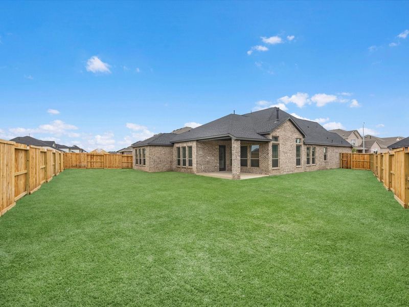 Green grass added to enhance photo. Green grass added to enhance photo.