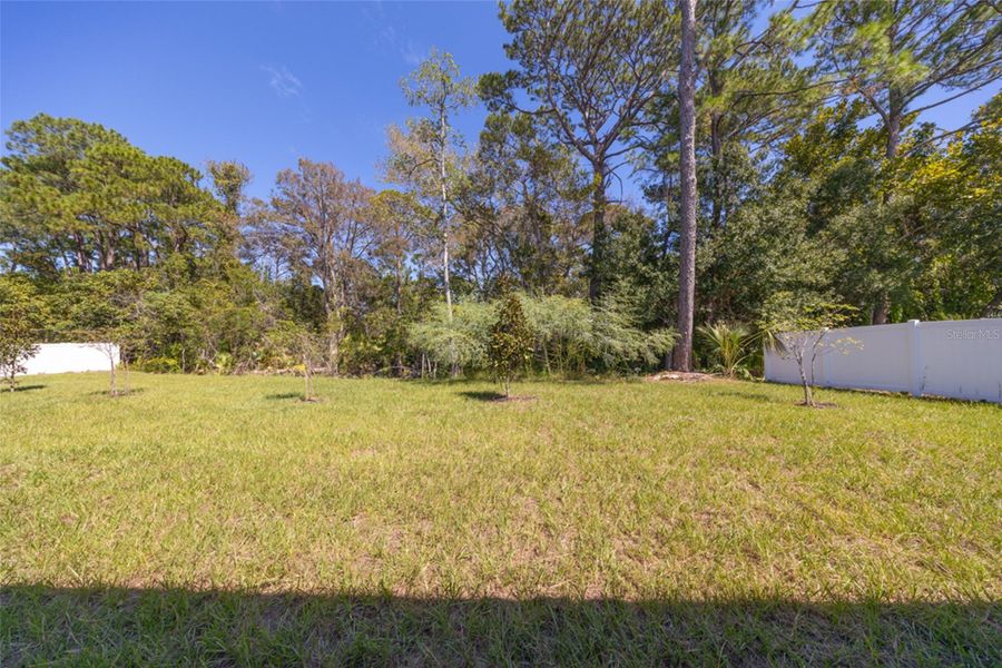 Natural landscape and outdoor views near Palm Coast in Palm Coast (Image 19). Natural landscape and outdoor views near Palm Coast in Palm Coast (Image 19).
