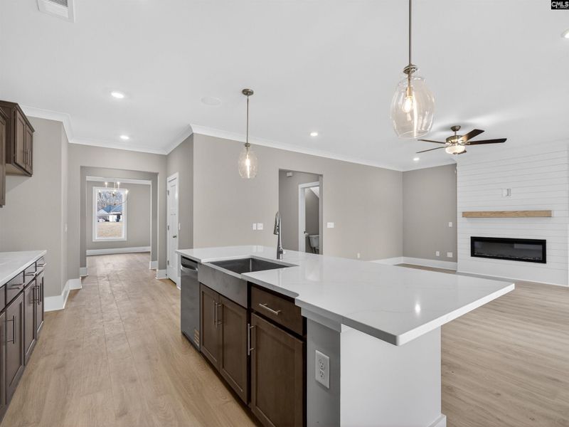 Furnished interior view inside a new home in Collins Cove, Chapin (Image 7).