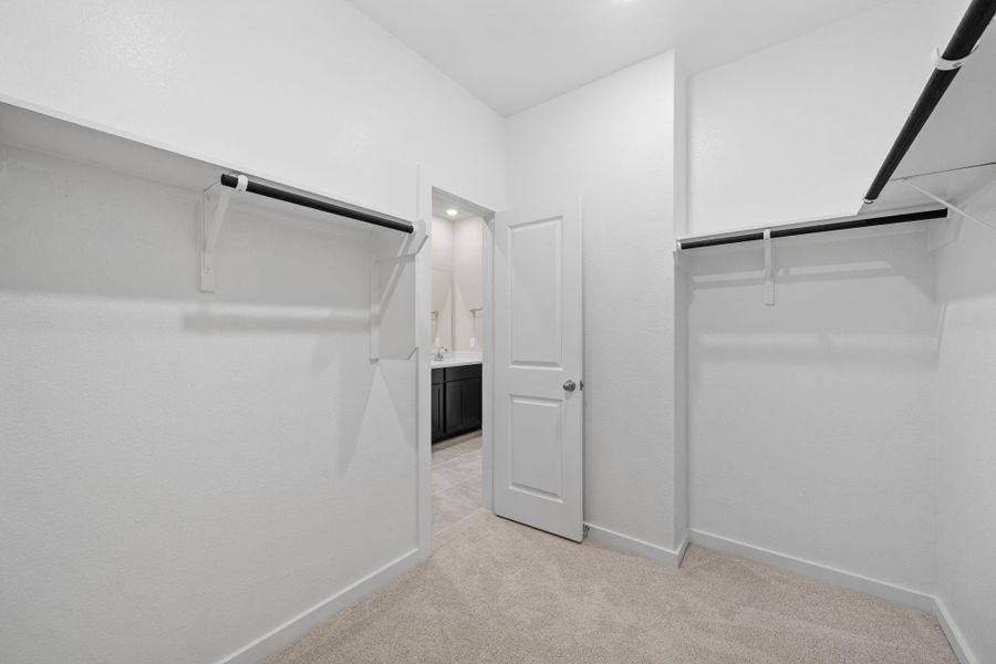 Spacious, unfurnished interior of a new home in Windrose Green, Angleton (Image 24).