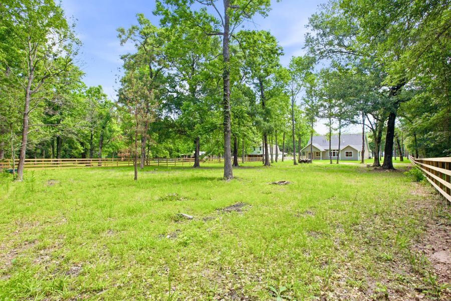 Natural landscape and outdoor views near  in Magnolia (Image 41).