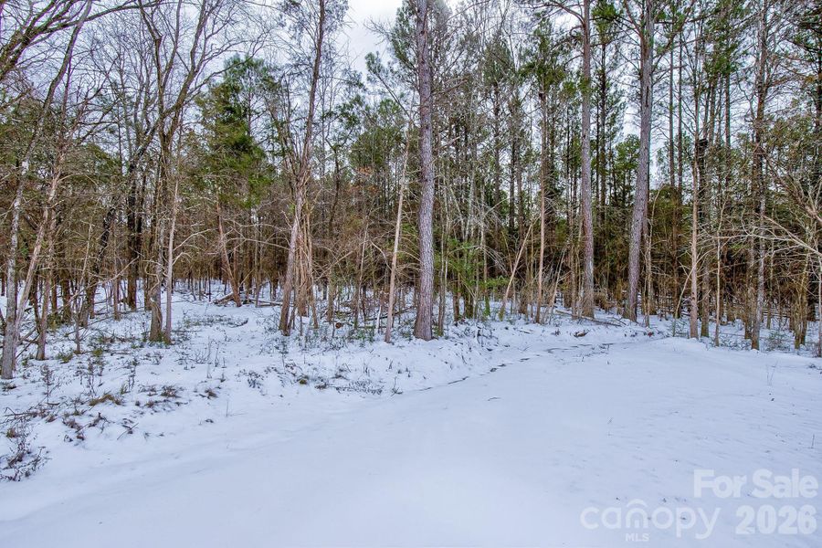 Natural landscape and outdoor views near  in Chester (Image 38).