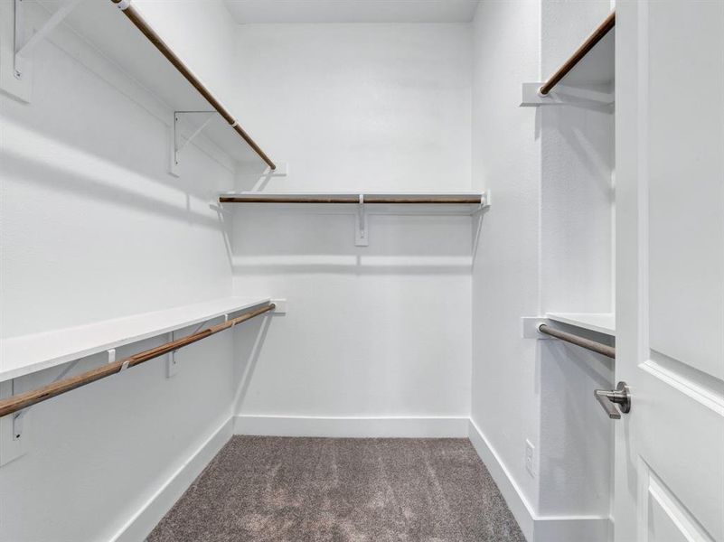 Spacious closet with dark colored carpet