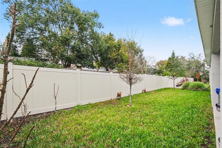 Exterior details and patio area of a home in Willow Reserve, Lutz (Image 25).