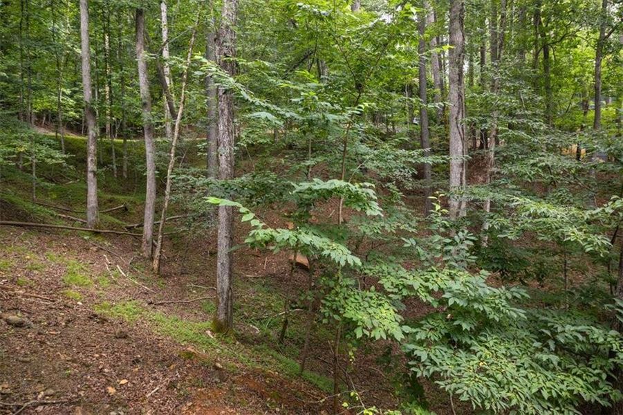 Natural landscape and outdoor views near  in Ellijay (Image 47).