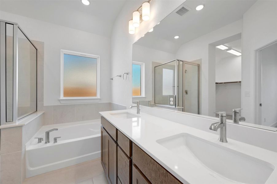 Owner's Bathroom