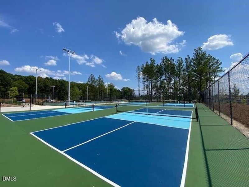 Pickleball at Paddles