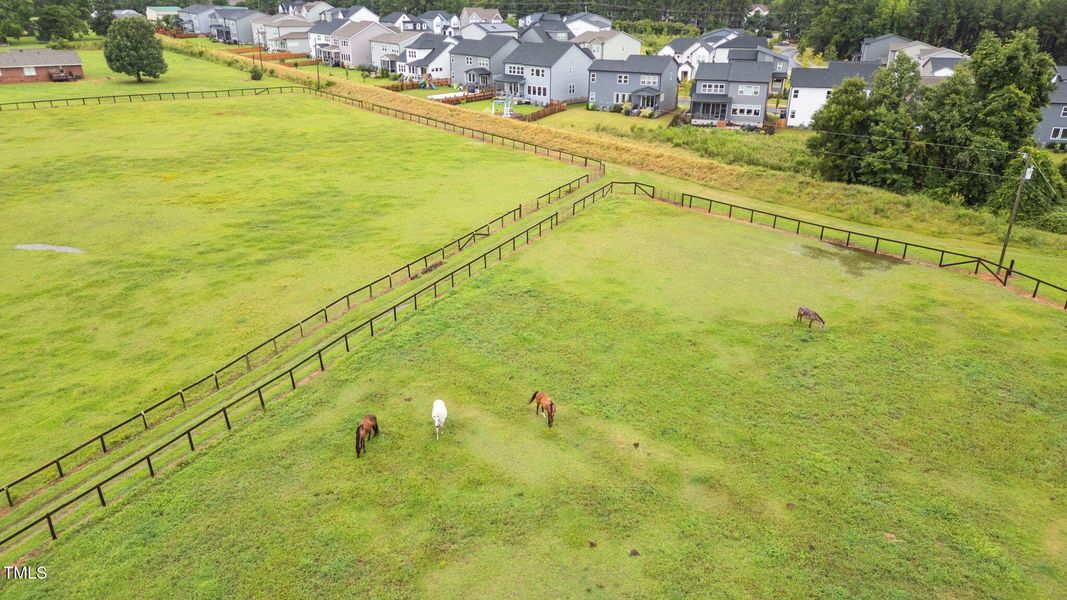 53-web-or-mls-4421 Bridle Run Dr-53