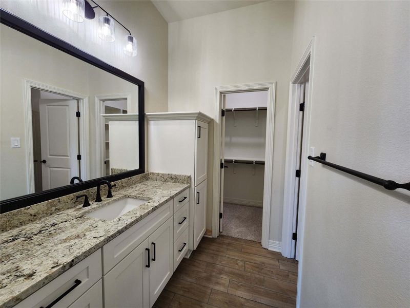 Full bathroom featuring vanity, dark wood-style flooring, and a walk in closet