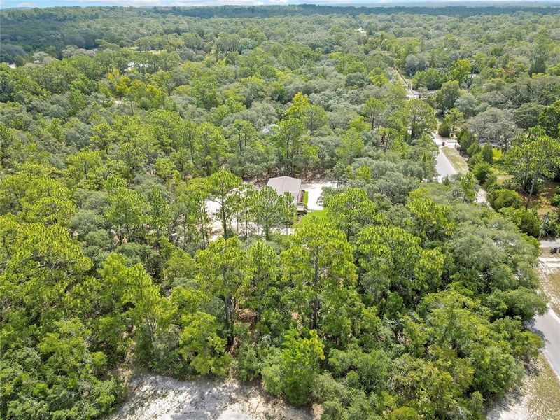Natural landscape and outdoor views near  in Homosassa (Image 54).
