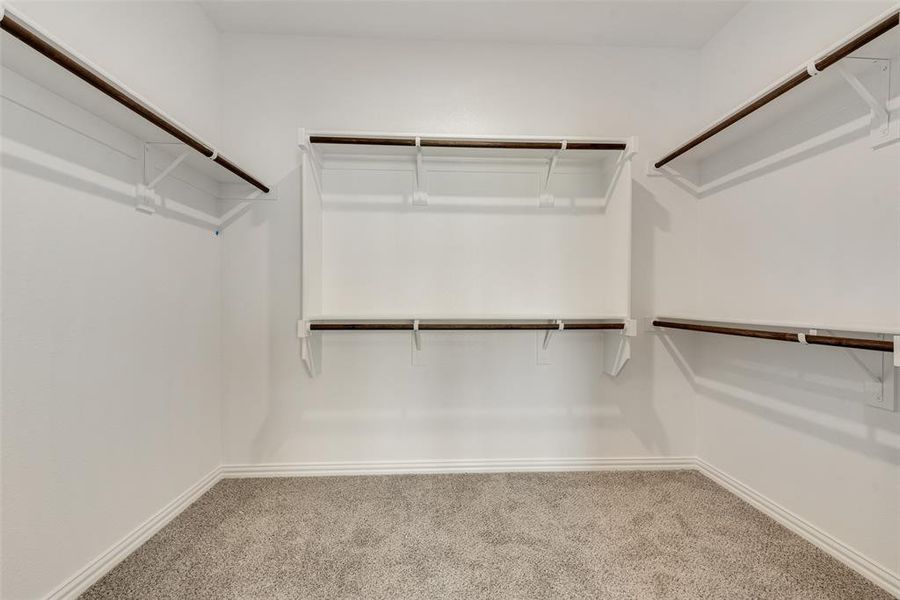 Walk in closet with carpet