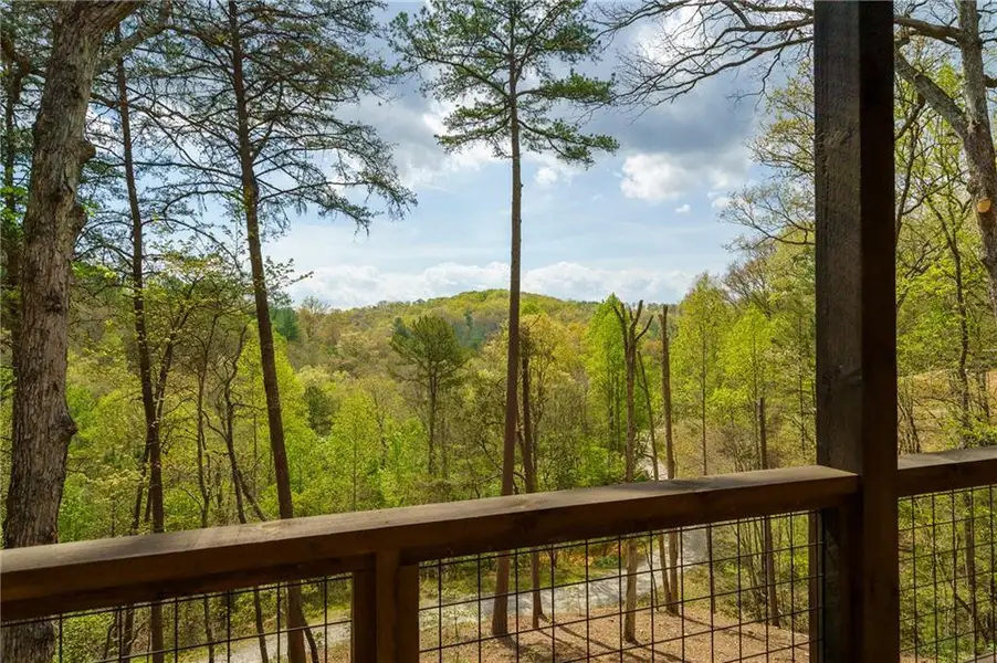 Natural landscape and outdoor views near  in Mineral Bluff (Image 46).