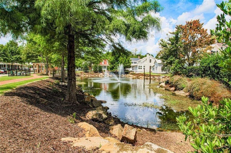 Natural landscape and outdoor views near  in Senoia (Image 8).