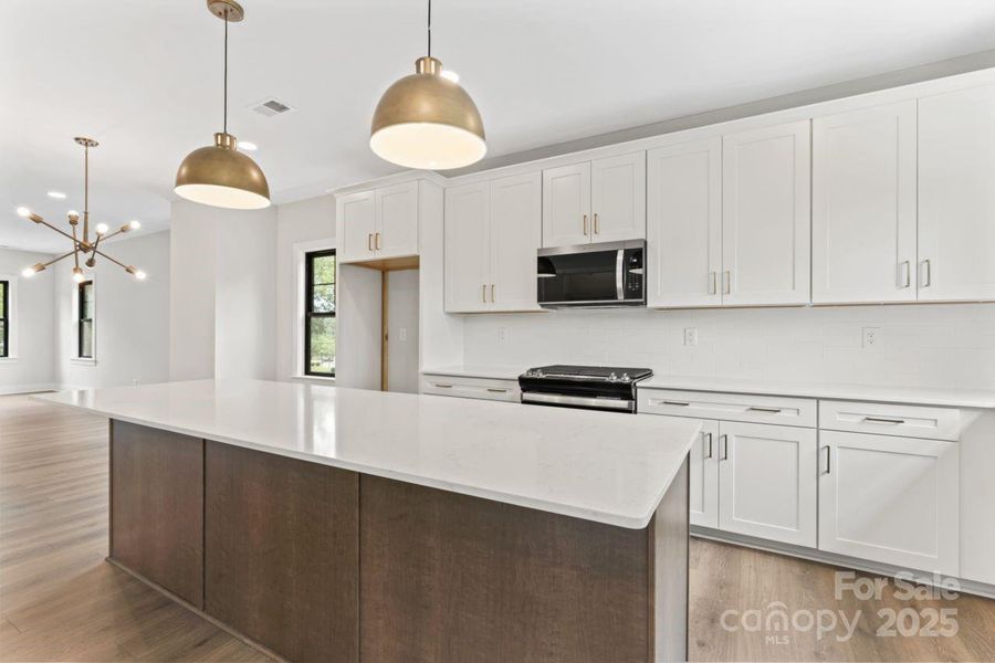 Entertaining Kitchen