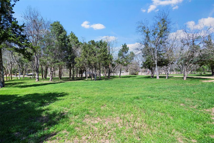 Natural landscape and outdoor views near  in Chappell Hill (Image 27).
