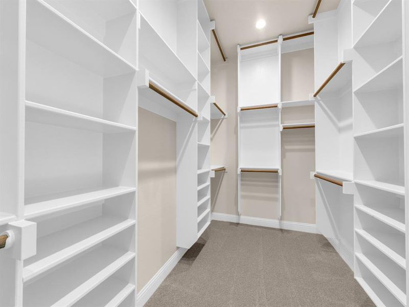 Spacious closet featuring light carpet