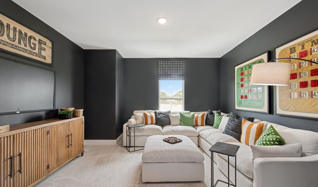 Media room with plush carpeting