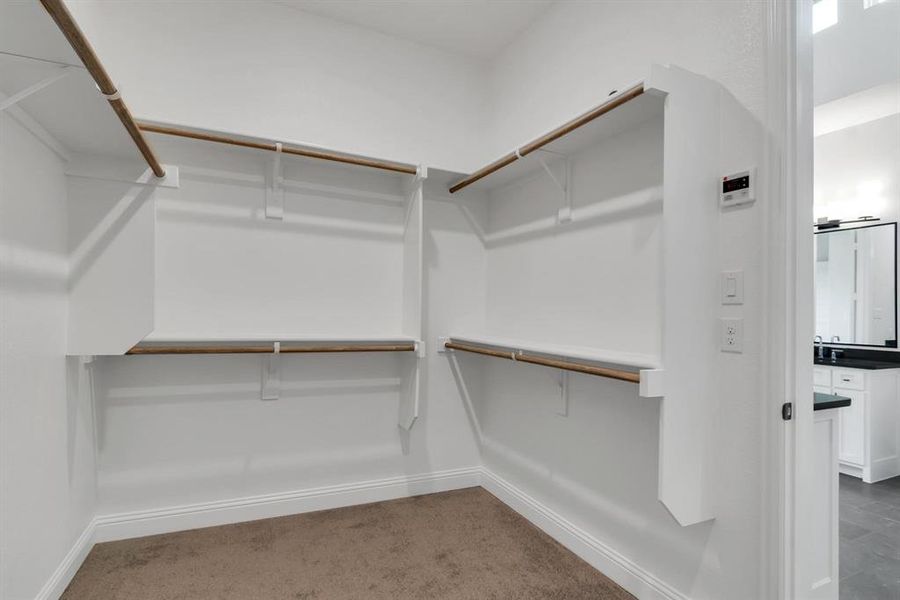 Spacious closet with carpet