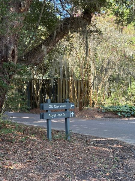 Natural landscape and outdoor views near  in Seabrook Island (Image 50).