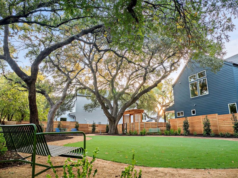 Natural landscape and outdoor views near  in Austin (Image 22).