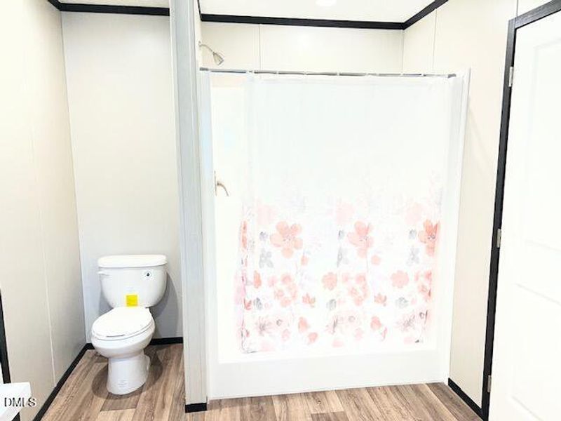 PBATH 2