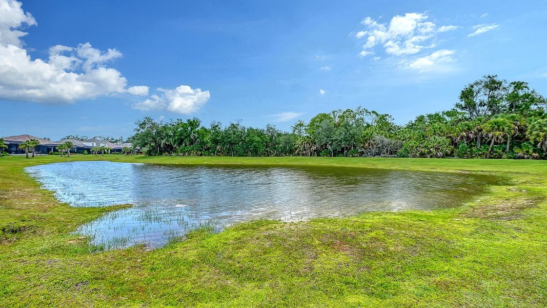 Natural landscape and outdoor views near Grand Park Real Estate and Homes for Sale in Sarasota, FL - Neal Communities in Sarasota (Image 43). Natural landscape and outdoor views near Grand Park Real Estate and Homes for Sale in Sarasota, FL - Neal Communities in Sarasota (Image 43).