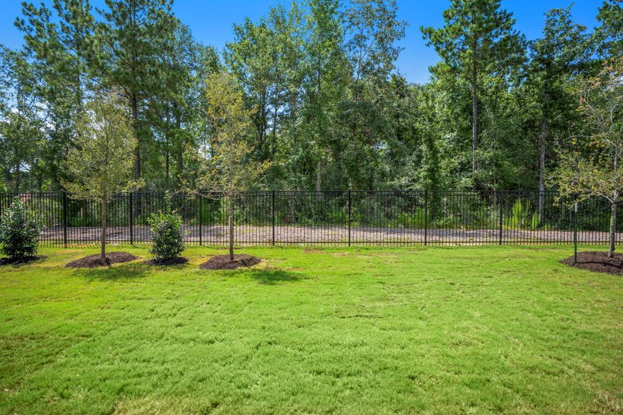 Natural landscape and outdoor views near Colton in Montgomery (Image 47).