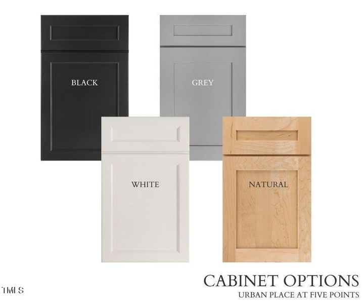 CABINET OPTIONS