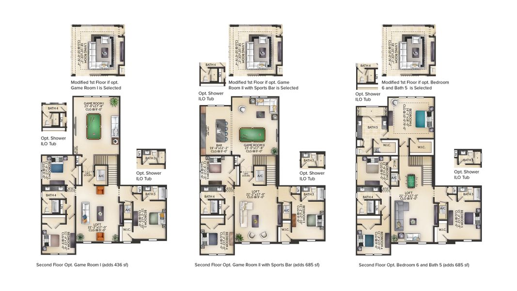 Ibis Floor Plan (Options)