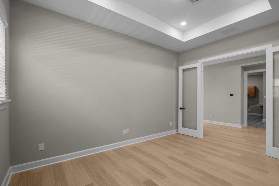 The Lotus - Study The Lotus - Study