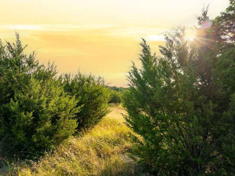 View of nature at dusk