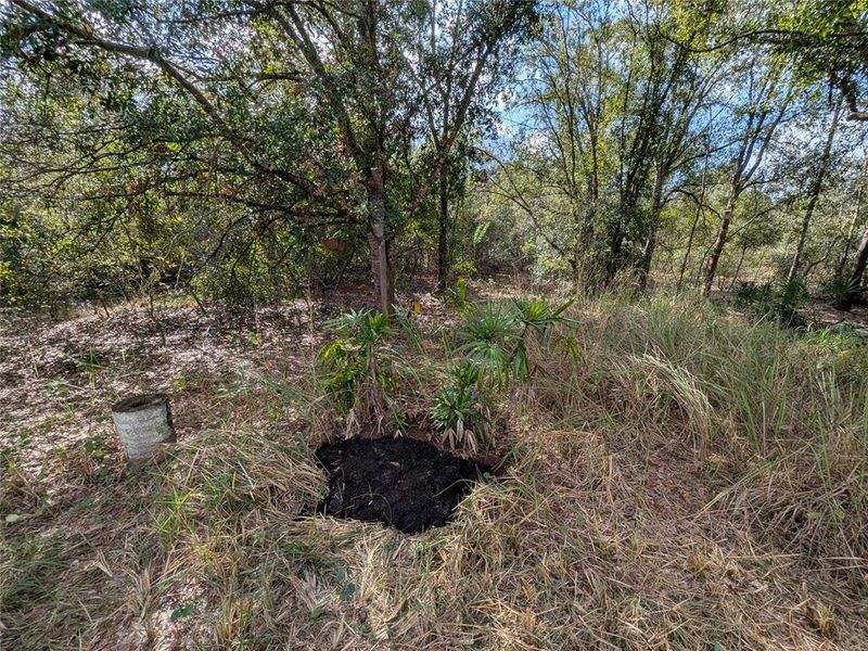 Natural landscape and outdoor views near  in Arcadia (Image 37).