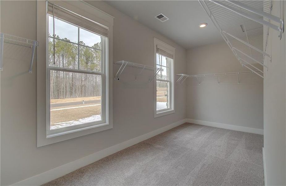Spacious, unfurnished interior of a new home in Saddleridge, Senoia (Image 17).