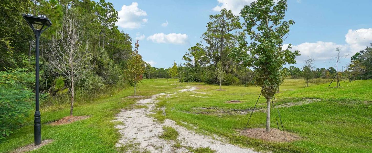 Lit walking trail located in the back of the community