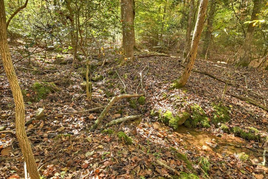 Natural landscape and outdoor views near in Ellijay (Image 26). Natural landscape and outdoor views near in Ellijay (Image 26).