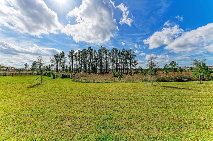 Natural landscape and outdoor views near Two Rivers in Zephyrhills (Image 42).