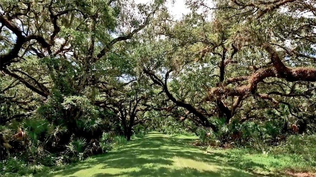 Natural landscape and outdoor views near  in Myakka City (Image 7).