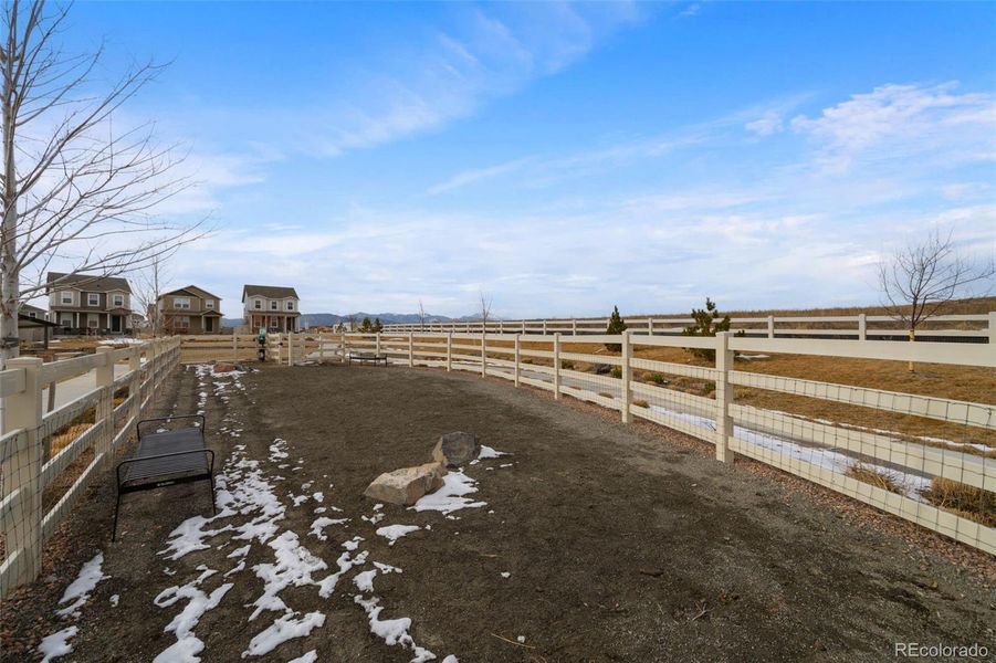 Site preparation for new homesites in , Colorado Springs (Image 44). Site preparation for new homesites in , Colorado Springs (Image 44).