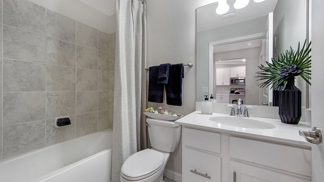 0087 Bromelia II Bath2 Base2 6 3 25