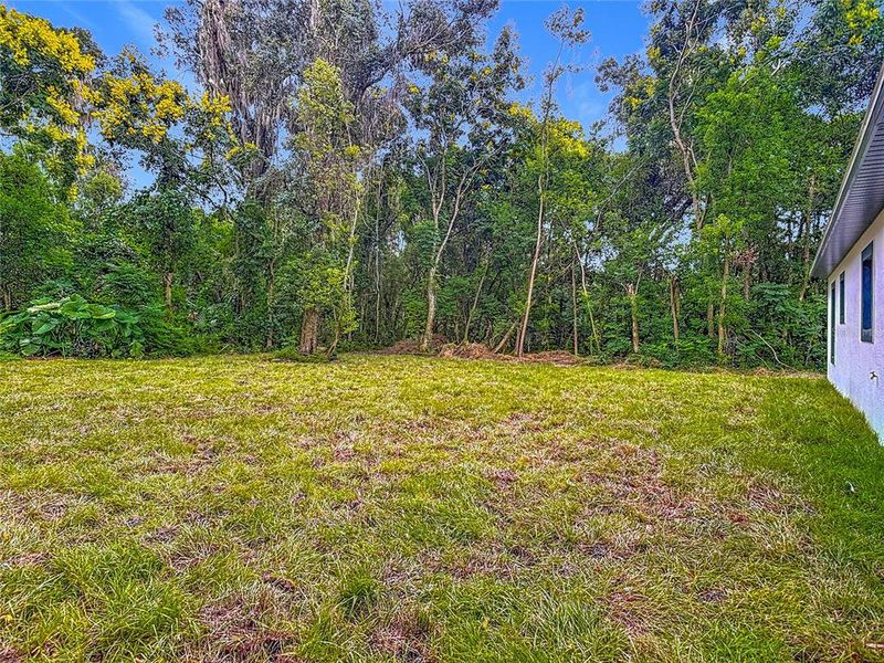 Natural landscape and outdoor views near  in Deland (Image 42).