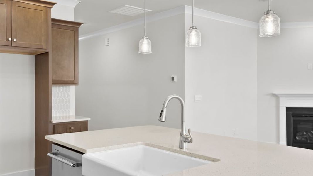 Close-up of interior finishes inside a home in Harrison Valley, Simpsonville (Image 15).