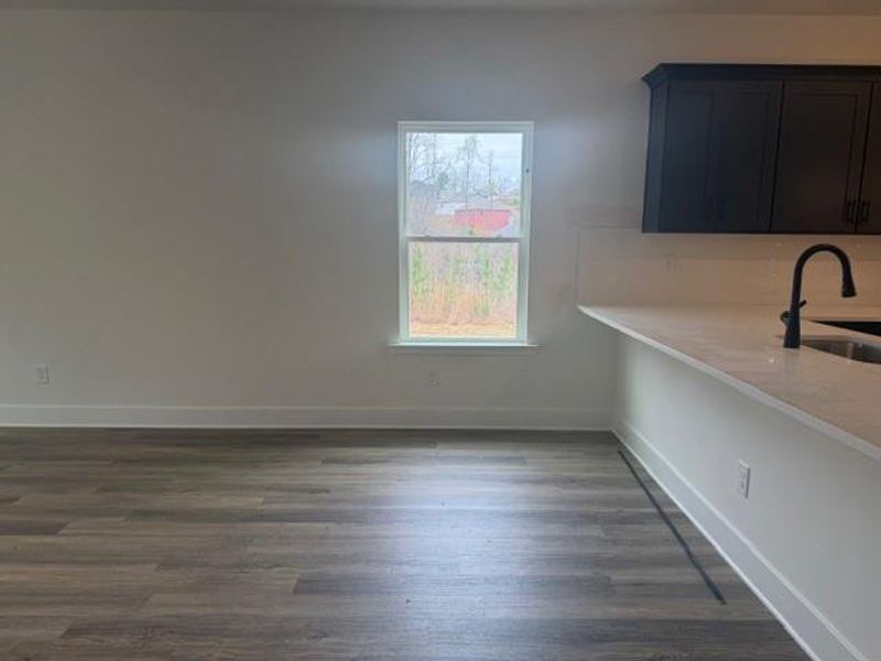 Spacious, unfurnished interior of a new home in Thunder Ridge, Dawsonville (Image 23).