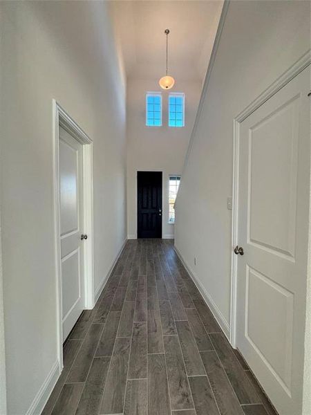 Entrance foyer with baseboards, a towering ceiling, and wood tiled floor