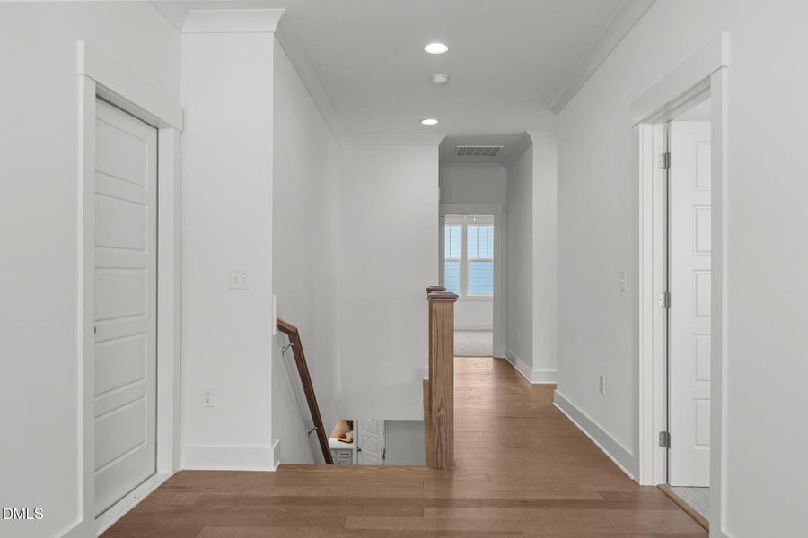 2-web-or-mls-IMG_5966