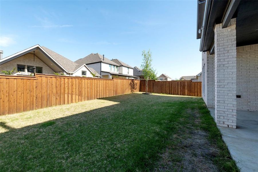 Yard Yard