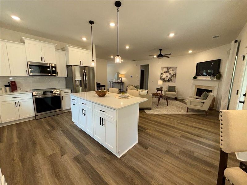 Furnished interior view inside a new home in Thunder Ridge, Dawsonville (Image 12).