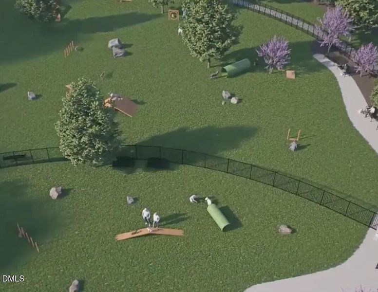 Dog Park