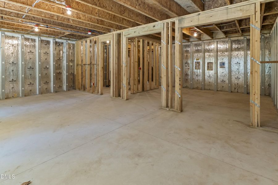 Unfinished Basement